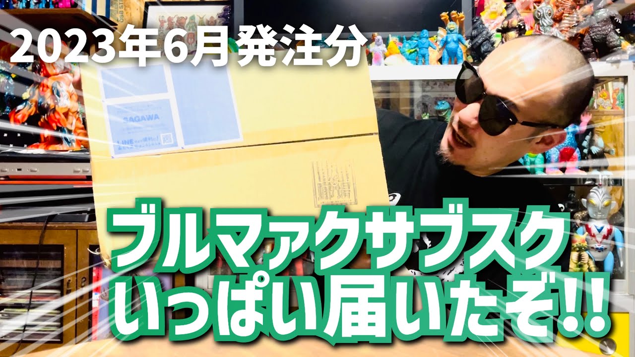 墓場の画廊からまたもいっぱい届いたぞブルマァクサブスク！さぁ開けて見ていこう！！