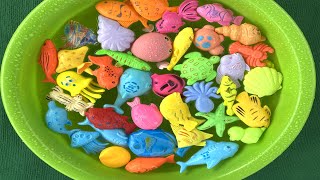 Mainan hewan laut berwarna warni | hewan untuk anak-anak