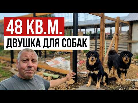 DOG ENCLOSURE for 100,000₽! 😱 The size of a 2-room apartment? 🏠💸