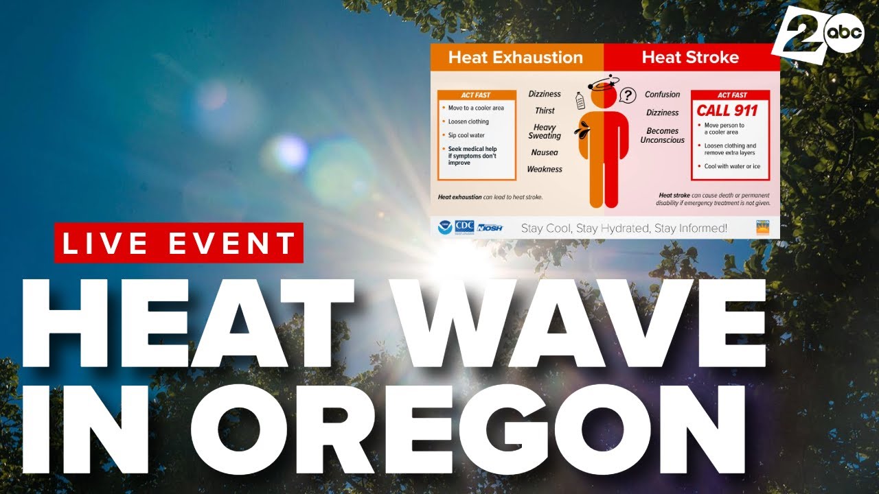 Extreme Heat Warning issued for temperatures near triple digits in ...