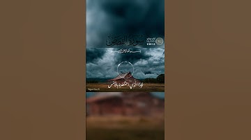 تلاوة هادئة من آيات القرآن الكريم ، آيَاتٍ بَيِّنَاتٍ من سورة القصص