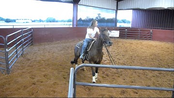 Valley View Ranch - XL Smart Zeus - 1 sorting 9-7-11