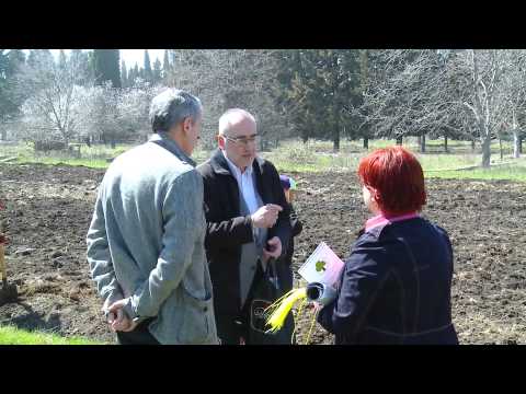 \"ანი-Zet\" კათოლიკოს პატრიარქის ლოცვა - კურთხევით დარგული ნერგები.