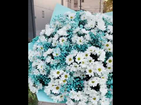 Video: Kādi Ziedi Atbilst Dažādiem Nosaukumiem