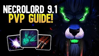 9.1 NECROLORD FERAL DRUID PVP GUIDE | Talents, Legendaries, Soulbinds and more!