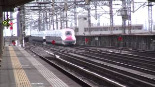 E6系+E5系　こまちはやぶさ　小山駅通過　E6 Series E5 Series Shinkansen