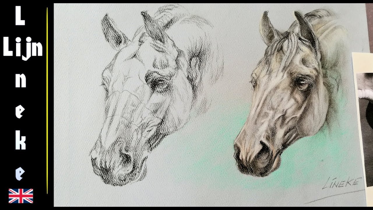 Horse sketch | Horse sketch, Horse head drawing, Horse drawings