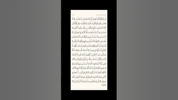 الورد اليومي: 4 صفحات (561-562-563-564) لتجنب هجر القرآن | تذكير يومي مستمر #قرآن #تلاوة