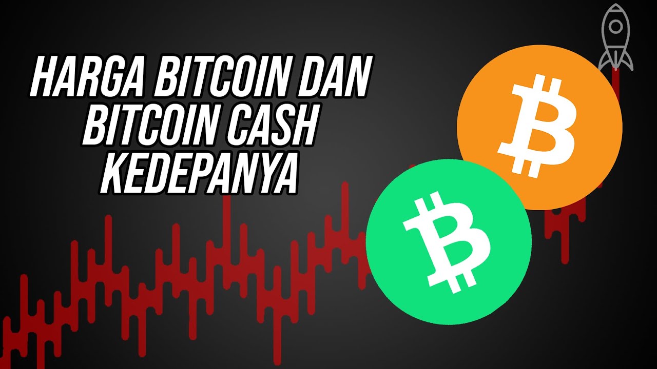 Prediksi Analisa Harga Bitcoin Bitcoin Cash Sudah Recovery Dari Kejatuhan 