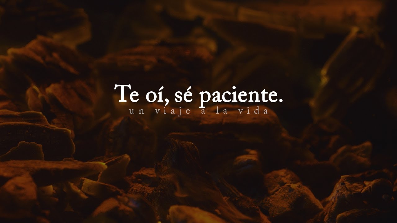 Mensaje de Dios para ti: Te oí, sé paciente...