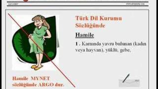 Mynetin Argo Kelimeleri