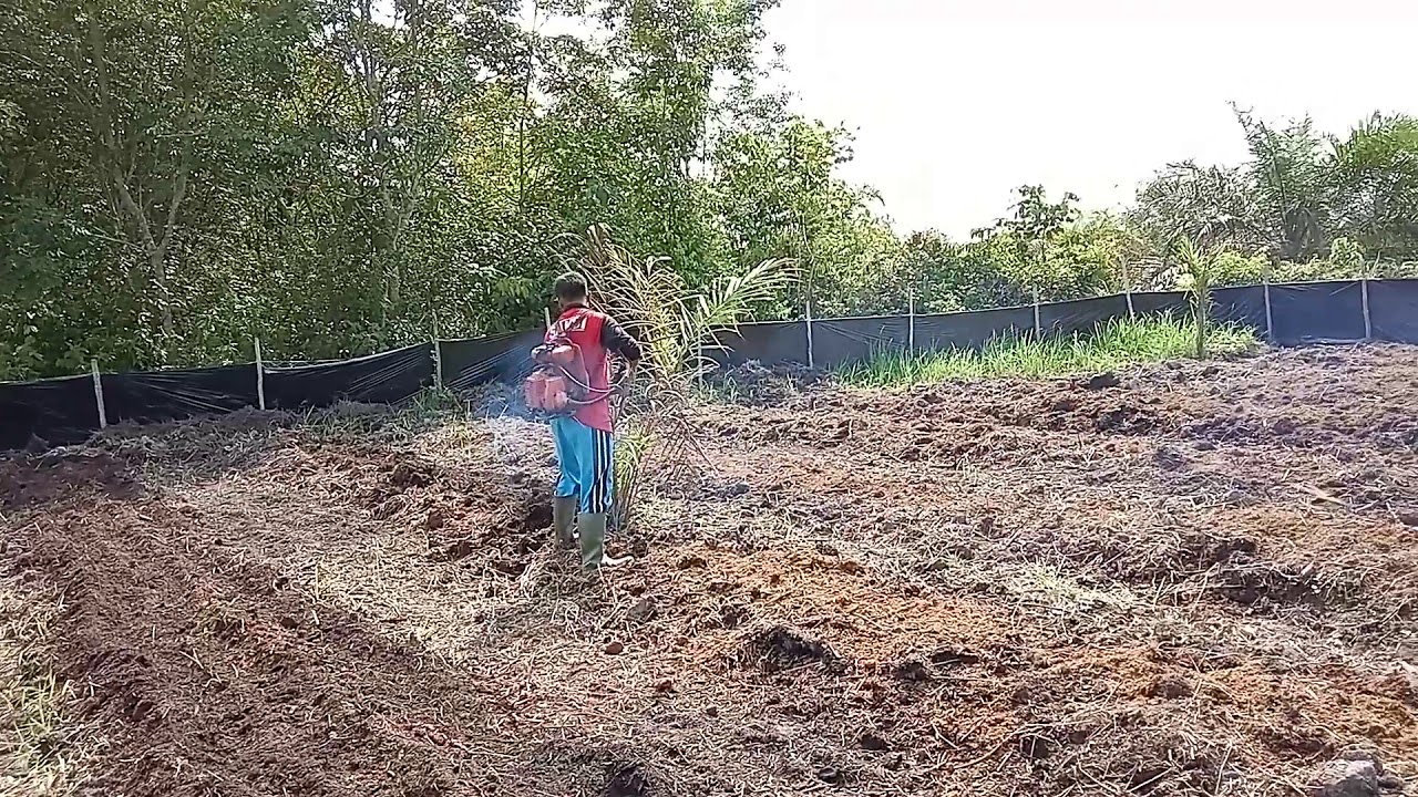 Mesin box rotari - YouTube