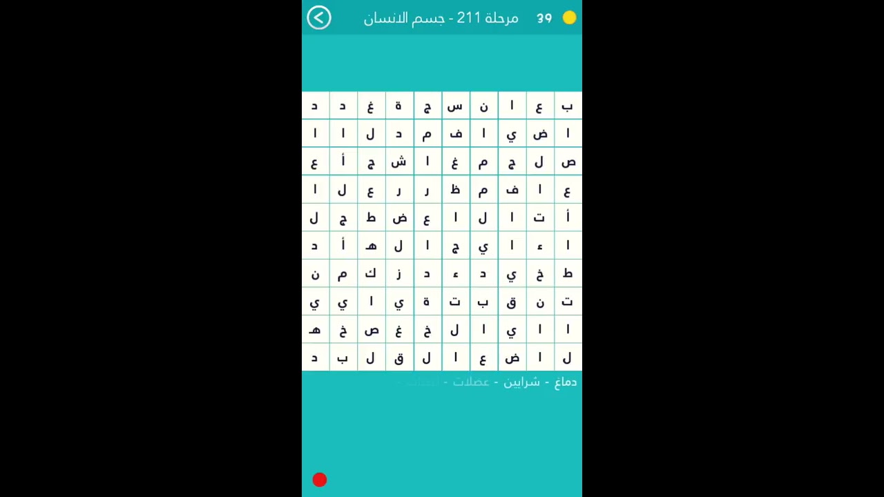حل المرحلة 211 جسم الإنسان كلمة السر هي اكبر عضو في جسم الإنسان