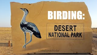 Birding Desert National Park (featuring GREAT INDIAN BUSTARD & GREY HYPOCOLIUS)