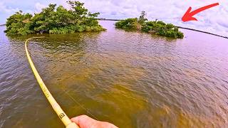 Backcountry Island Redfishing on Cheap Gear in Charlotte Harbor