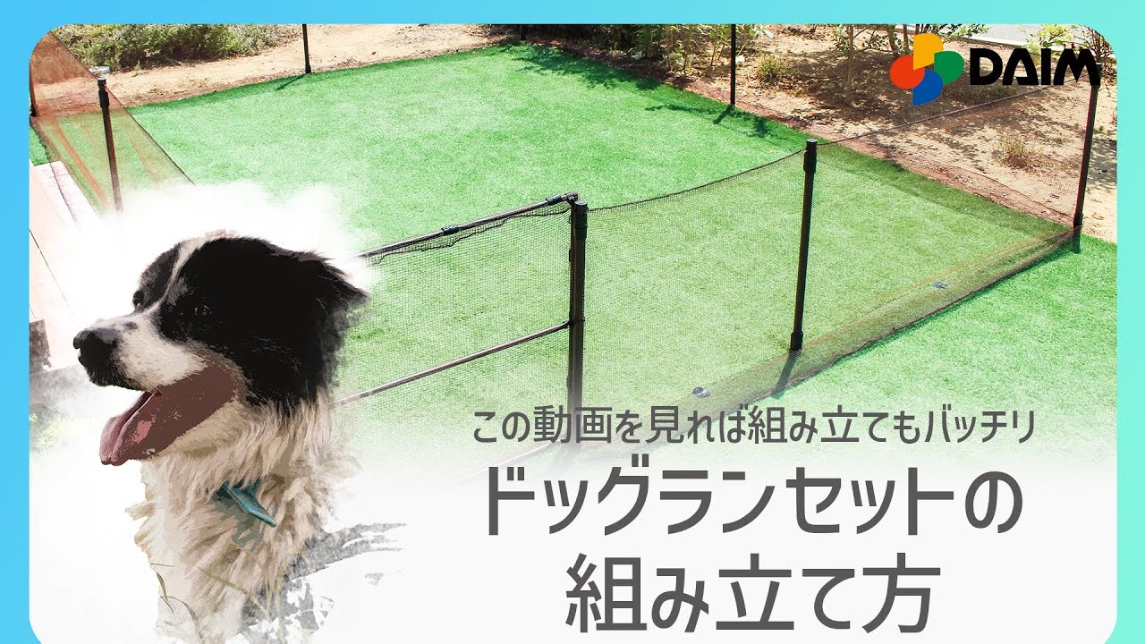【作り方バッチリ！】「ドッグランセット」の作り方【園芸・家庭菜園・エクステリア・DIY】　紹介動画
