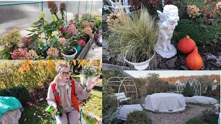 видео: 🌹Красота в теплице. ✂️Покупки на новый сезон. 💐Укрываем розы. картинка: 🌹Красота в теплице. ✂️Покупки на новый сезон. 💐Укрываем розы.