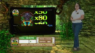 BESTIA ACTIVA SORTEO Nro 995 RESULTADO GANADOR CEBRA 23 COMODIN X50