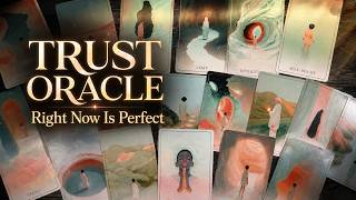 Trust Oracle Review & Complete Walkthrough | Right Now Is Perfect