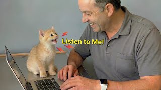 When Your Cat Starts Talking Back to You 😹💬