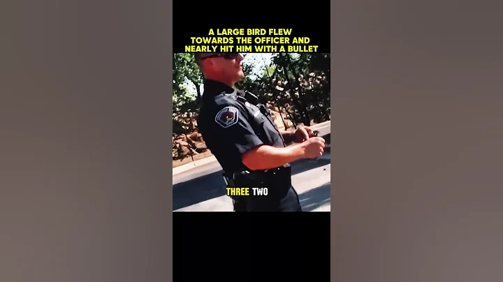 N.Apd Swat Officer Throws Flash Bang Grenade