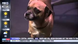 Dr. Elianne on FOX45