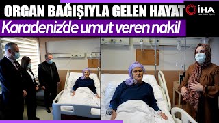 Gelin, Kaynanasına Karaciğerini Verdi Kayıtsız Kalamazdım