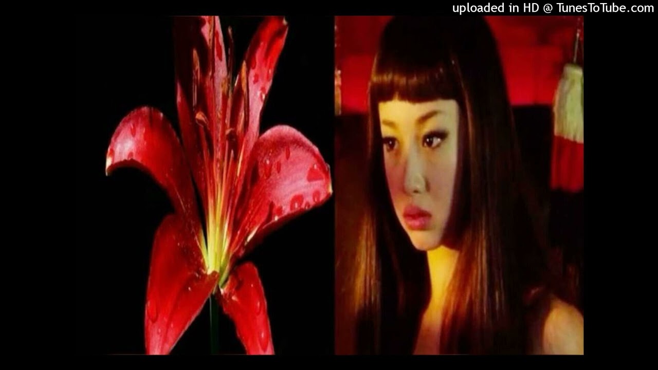 [free] soser + tana + che sample type beat 