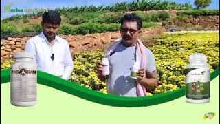 Field To future- Sucess Stories of Aries farmers!