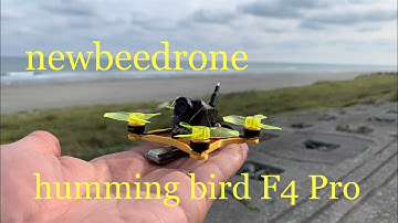 newbeedrone humming bird F4 Pro
