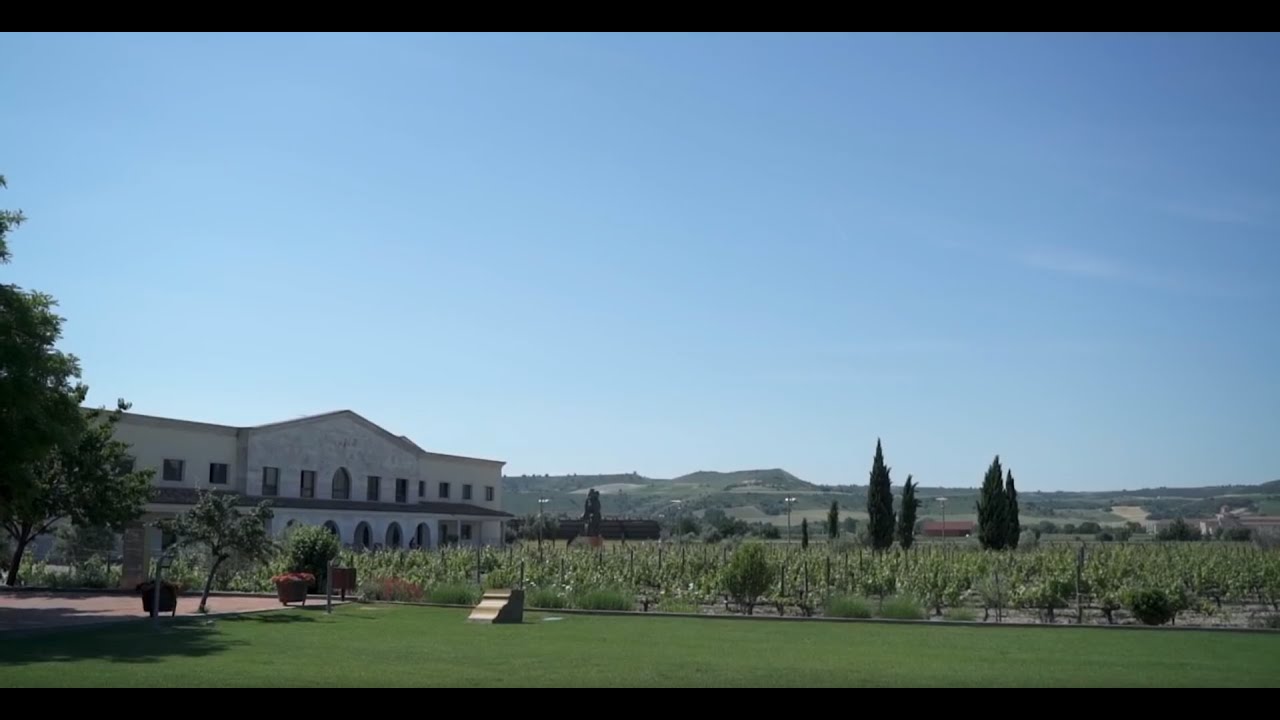 Experiencias de ENOTURISMO - Bodega EMINA Ribera. - YouTube
