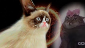 Prophecy Cat Is True 2.  The Sequel.