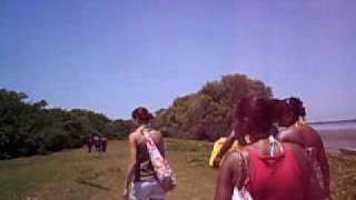 HPIM0275.AVI