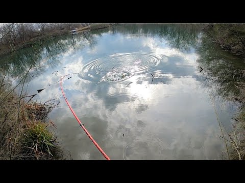 Big Bass Small Pond (Wait till the end)