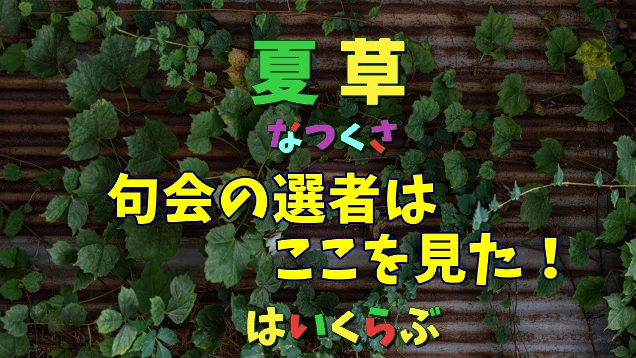 21年7月6日 夏草 宗本智之 はいくらぶ句会入選句 俳句 俳句love 夏の季語 Haiku ネット句会 Youtube