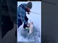 凍結した湖の中から・・・。#釣り#魚釣り#shorts