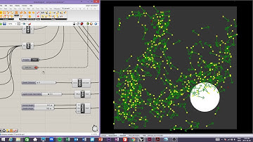 Physarum polycephalum simulation 3
