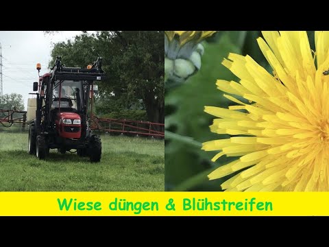 Video: Womit werden Hinterwälder gewalzt?