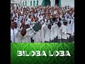 Biloba loba  fluki direction audio