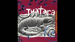 Tuatara – A Flying Nun Compilation (Full Album)