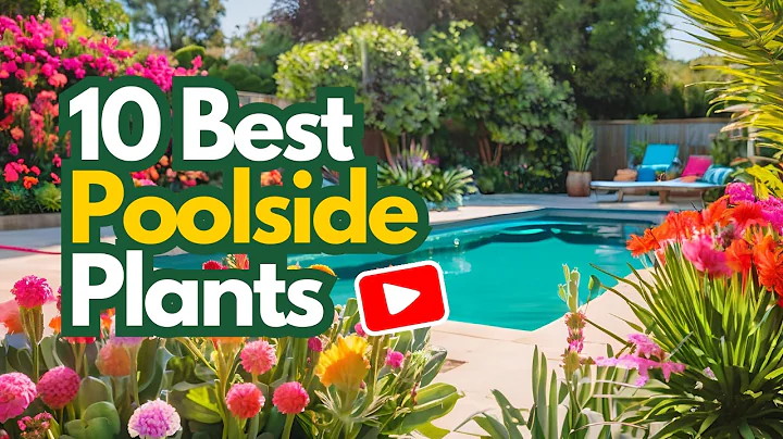 ▶️Best 10 Flowers and Plants to Enhance Your Swimming Pool Area!