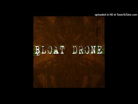 LADY LIZARD - Bloat Drone   **including lyrics**