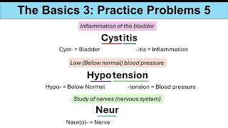 Medical Terminology – The Basics – Lesson 1 & 2 | Practice Problems Set 3