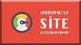 Web Sitesi Hız Optimizasyonu ile ilgili video