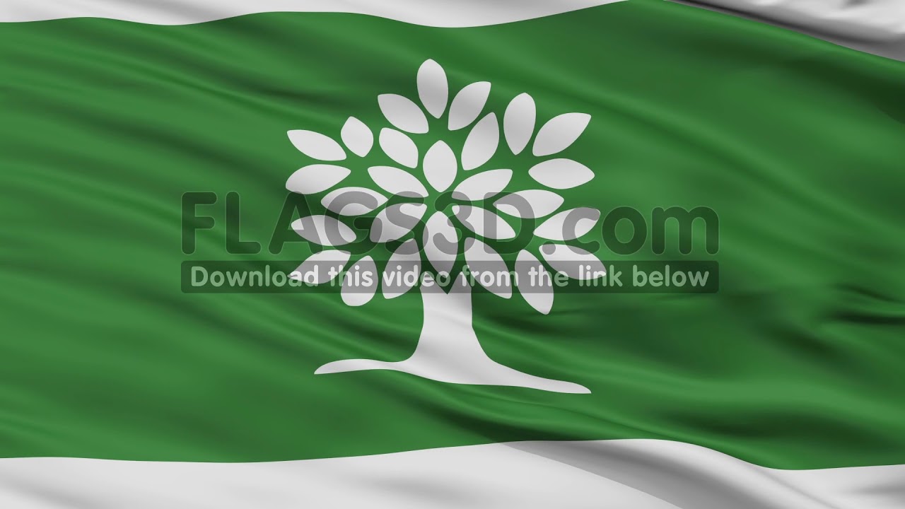 Closeup London Ontario city flag, Canada YouTube