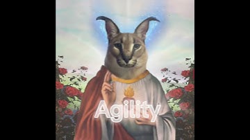 Epic beluga vs god floppa shorts