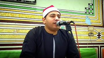 رائعة النمل للقارئ محمد ممدوح علي من قرية سنفا