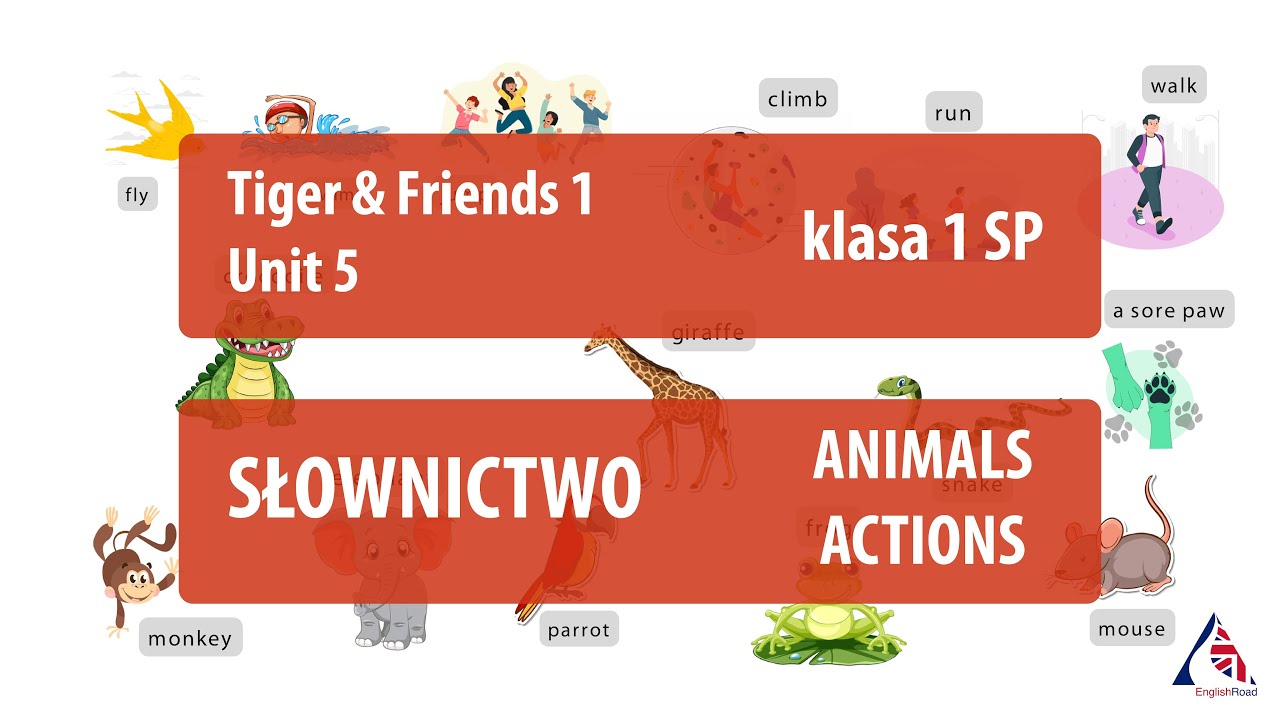 Słownictwo ANIMALS/ACTIONS. Klasa 1 SP. Książka: Tiger&Friends1_U5