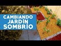 ¿Cómo cambiar un jardín sombrío y hacer esquejes?