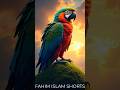 বিশাল কাকাতুয়া পাখির অবিশ্বাস্য গল্প 🦜 | Cockatoo Bird Amazing Story in Bangla | Fahim Islam Bangla